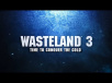 Wasteland 3