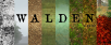 Walden, a game