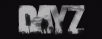 Day z