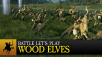 Летс плей к апдейту Wood Elves Battle для Total War: WARHAMMER