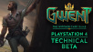 На PS4 стартовала Техническая Бета в игре GWENT