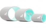 Plexus Wheel Review