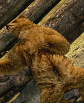 Tekken 7 – Online Tournament Mode and New Characters Revealed