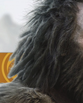 Far Cry Primal – New Trailer and Behind the Scenes Video