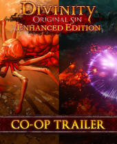 Divinity Original Sin: Enhanced Edition – New Trailer and Info on Co-op