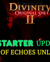 Divinity: Original Sin 2 Adds Shape-Shifting Hub Area, Plus Stretch Goals