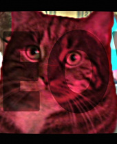 Beat Cop Coming March 30th, Along with Cat-Friendly Mode