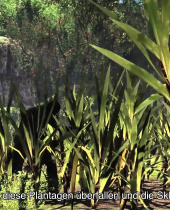 Assassins Creed: Schrei nach Freiheit als eigenständiger Titel ab heute erhältlich