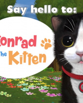 Konrads Kittens