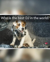 Mit Trivia Crack X noch leichter Wissensfragen in Social Media teilen