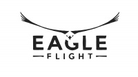 Eagle Flight