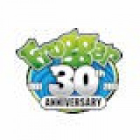 30 Jahre Frogger mit neuen Titeln für Nintendo 3DS, iPad, iPhone und iPod touch