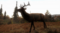 Cabelas Big Game Hunter: Pro Hunts ab sofort erhältlich