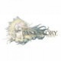 The Last Story - Infos aus erster Hand auf eigener Webseite