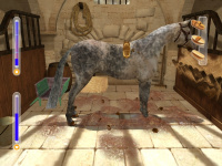 Abenteuer auf dem Reiterhof 4 - Die Meisterschule