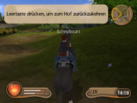 Mein Gestüt - Ein Leben für die Pferde