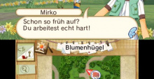 Hometown Story - das neue Spiel vom Vater von Harvest Moon - ab April für 3DS