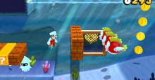 Super Mario 3D Land