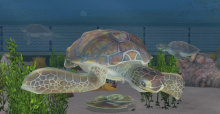 Zoo Tycoon 2 - Marine Mania