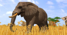 Wildlife Park 3 – Die PC Version ist ab sofort auf Steam verfügbar