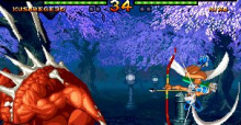 Samurai Shodown V