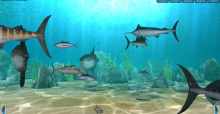 World of Fishing Screens