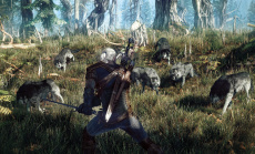 The Witcher 3: Wilde Jagd