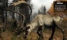 Cabela’s Big Game Hunter: Pro Hunts - Die Jagd geht weiter