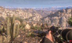 Einzelheiten zu Call of Juarez The Cartel