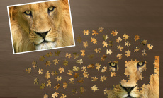 Ravensburger Puzzle für iPad – Puzzle-Spaß einer neuen Generation