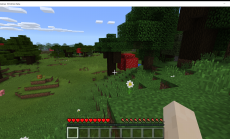 Minecraft windows 10 Beta