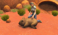 Tierarzteinsatz in Australien: Meine Tierstation im Outback 3D