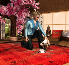 Mein Beautyhotel f&uuml;r Tiere