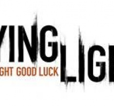 Dying Light - Parkour POV Video