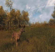 The Hunter 2013 - Deutsche Wälder