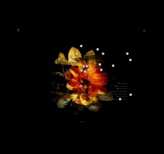 Das letzte Ritual - In Memoriam 2