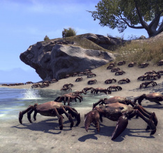 E3: The Elder Scrolls Online – The Dark Brotherhood and One Tamriel