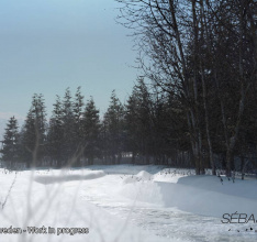 Sebastian Loeb Rally Evo - Sweden