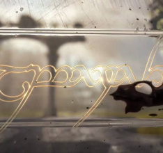 Nachgereicht: Teaser-Trailer zu Der Herr der Ringe: Der Krieg im Norden