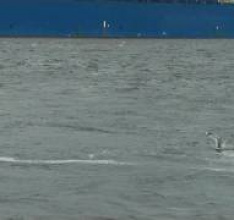 An Inconvenient Game: Dokumentarfilm über Computerspiele feiert München-Premiere