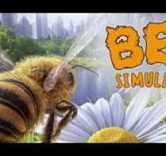 Bee Simulator - Part 1 - ENG