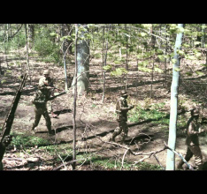 Company Of Heroes 2: The Western Front Armies verfügbar