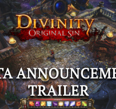 Divinity: Original Sin Enters Beta