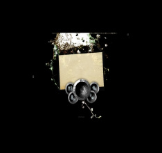 Das letzte Ritual - In Memoriam 2 (Preview)