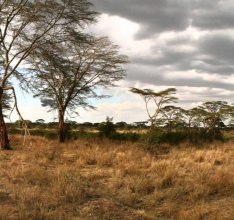 Secret Files Sam Peters (iOS) - Official Gameplay Trailer