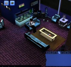 Die Sims 3 Luxus-Accessoires