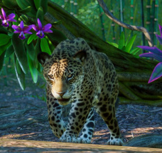 Planet Zoo – Die Erweiterungen