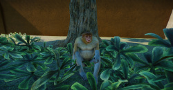 Planet Zoo: Southeast Asia Animal Pack