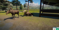 Planet Zoo: North America Animal Pack