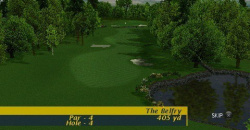 ProStroke Golf: World Tour 2007